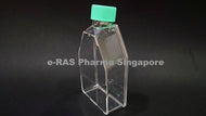 Tissue Culture Flask